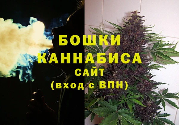 ПСИЛОЦИБИНОВЫЕ ГРИБЫ Абаза