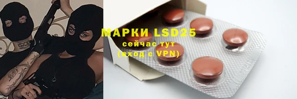 ПСИЛОЦИБИНОВЫЕ ГРИБЫ Абаза